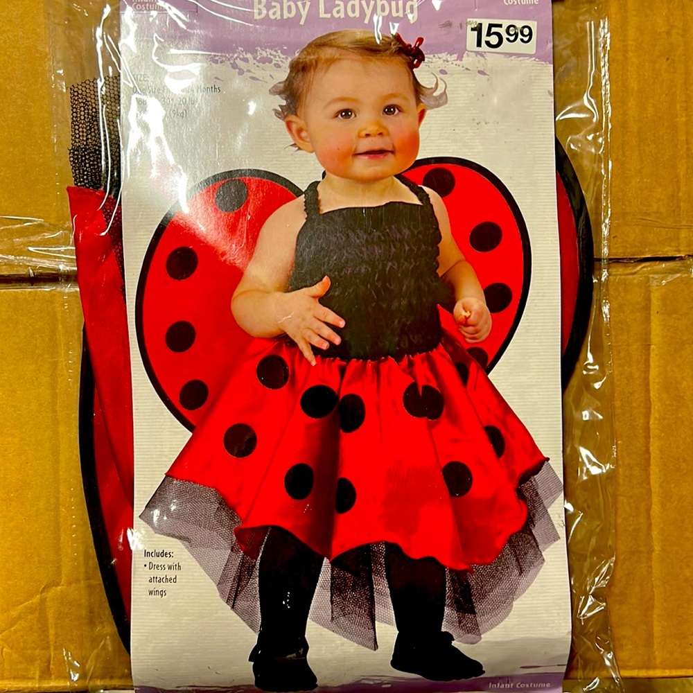 Baby Ladybug costume